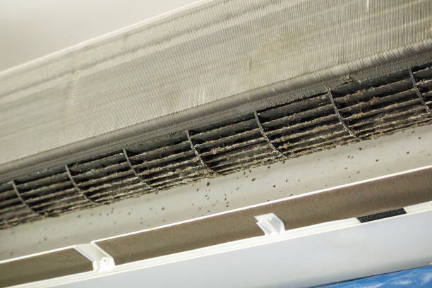 Best Commercial HVAC Duct Cleaning  in Nazareth, PA